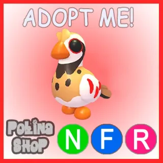 Partridge NFR