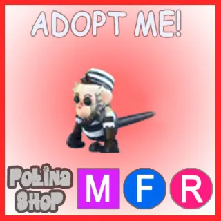 Inmate Capuchin Monkey MFR