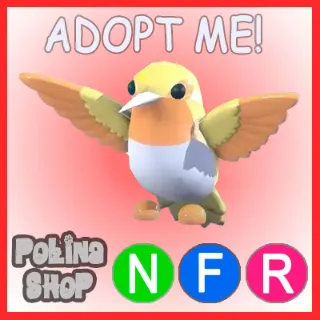 Golden Hummingbird NFR