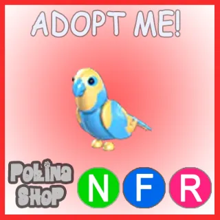 Diamond Amazon NFR