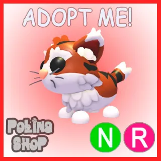 Munchkin Cat NR