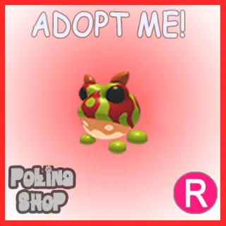 Ornate Horned Frog R x4