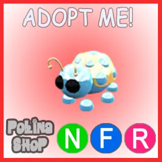 Diamond Ladybug NFR