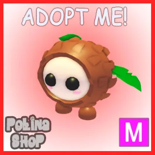 Coconut Friend M