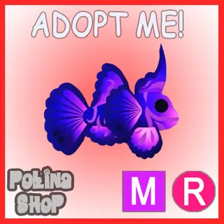 Singularity Pisces MR