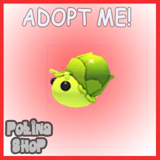 Sprout Snail x4