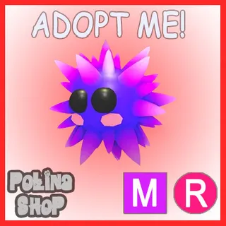 Urchin MR