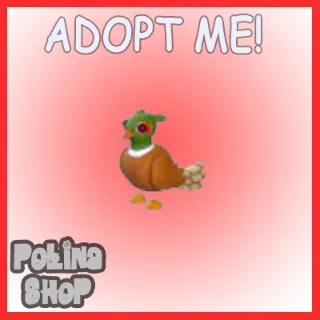 Brown-Chested Pheasant x4