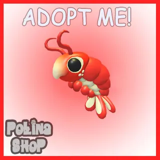 Emperor Shrimp x4