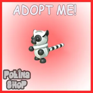 Ring-tailed Lemur x4