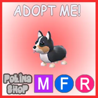 Royal Corgi MFR
