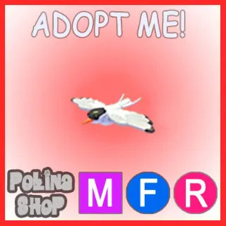 Arctic Tern MFR