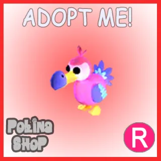 Dodo R x4