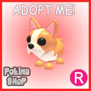 French Bulldog R