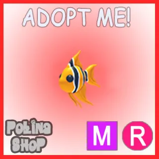 Angelfish MR