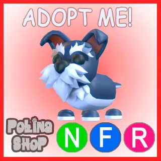 Mini Schnauzer NFR