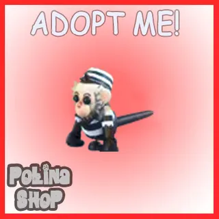 Inmate Capuchin Monkey x4