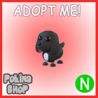 Royal Palace Spaniel N