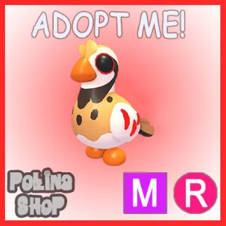 Partridge MR