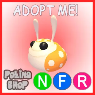 Hopbop NFR