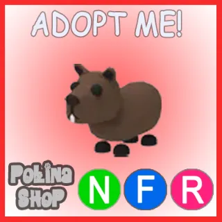 Capybara NFR