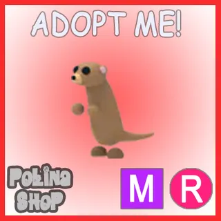 Meerkat MR