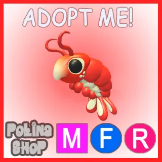 Emperor Shrimp MFR