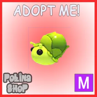 Sprout Snail M