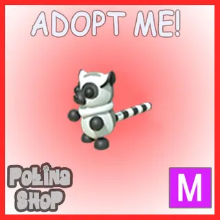 Ring-tailed Lemur M