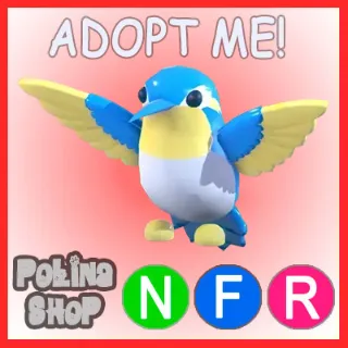 Diamond Hummingbird NFR