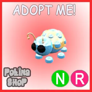 Diamond Ladybug NFR