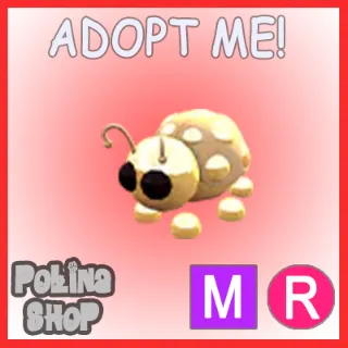 Golden Ladybug MR