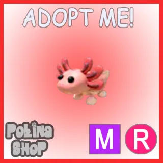Axolotl MR 