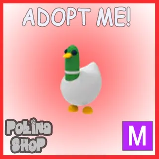Silly Duck M