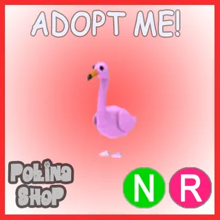 Flamingo NR