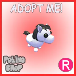 Shetland Pony White R x4