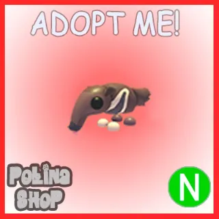 Giant Anteater N
