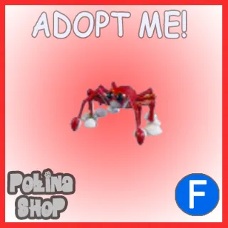 Spider Crab F