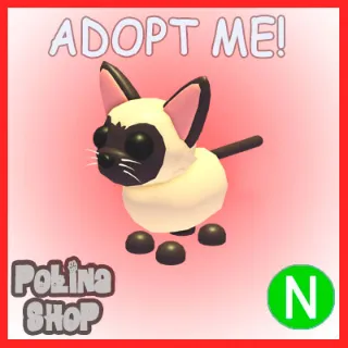 Siamese Cat N