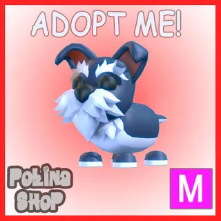 Mini Schnauzer M