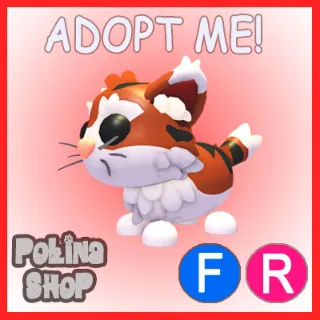 Munchkin Cat FR