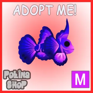 Singularity Pisces M