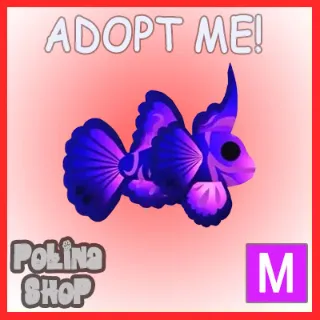 Singularity Pisces M