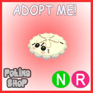 White Sand Dollar NR