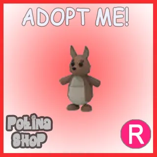Kangaroo R
