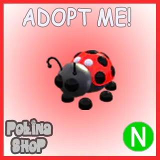 Ladybug N x4