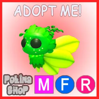 Gaelic Fae MFR