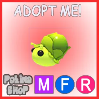 Sprout Snail MFR