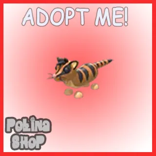 Banded Palm Civet x4