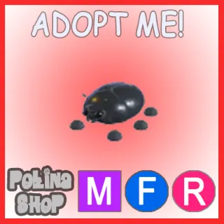 Giant Black Scarab MFR